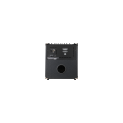 Laney DIGBETH FOUNDRY Series DBF100 - Bass guitar combo - 1x12" woofer